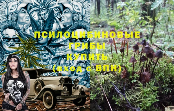 гидра Заволжск
