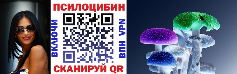 Псилоцибиновые грибы Psilocybe Купить Отрадный